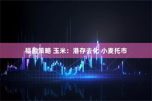 福盈策略 玉米：港存去化 小麦托市