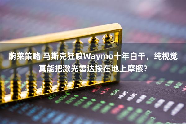 蔚莱策略 马斯克狂喷Waymo十年白干，纯视觉真能把激光雷达按在地上摩擦？
