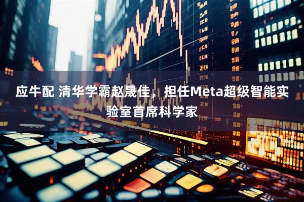 应牛配 清华学霸赵晟佳，担任Meta超级智能实验室首席科学家
