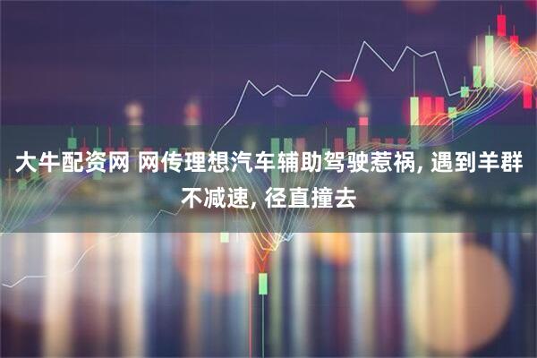 大牛配资网 网传理想汽车辅助驾驶惹祸, 遇到羊群不减速, 径直撞去