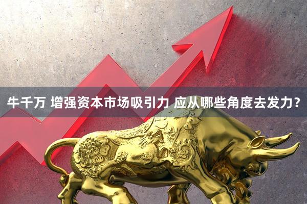 牛千万 增强资本市场吸引力 应从哪些角度去发力？