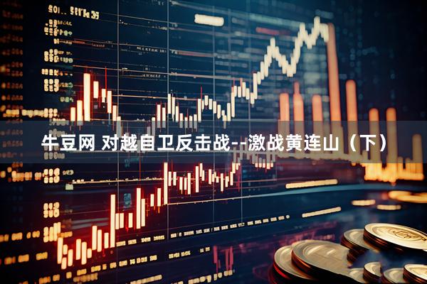 牛豆网 对越自卫反击战--激战黄连山（下）