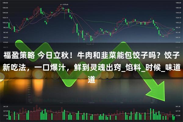 福盈策略 今日立秋！牛肉和韭菜能包饺子吗？饺子新吃法，一口爆汁，鲜到灵魂出窍_馅料_时候_味道