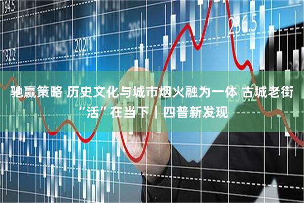 驰赢策略 历史文化与城市烟火融为一体 古城老街“活”在当下｜四普新发现
